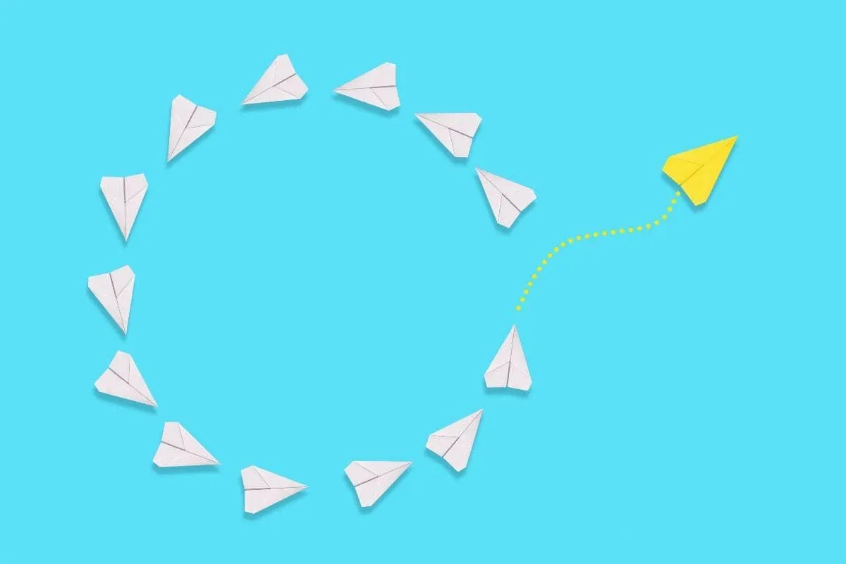 Increased Traffic, Followers & Sales