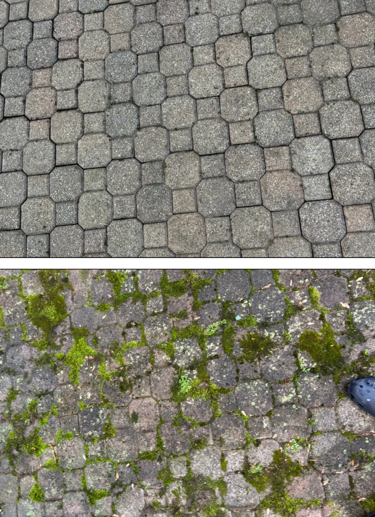 patio ressure wash before and after 3