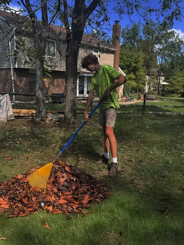Cooper raking leaves