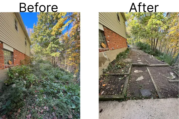 brush removal before and after 2