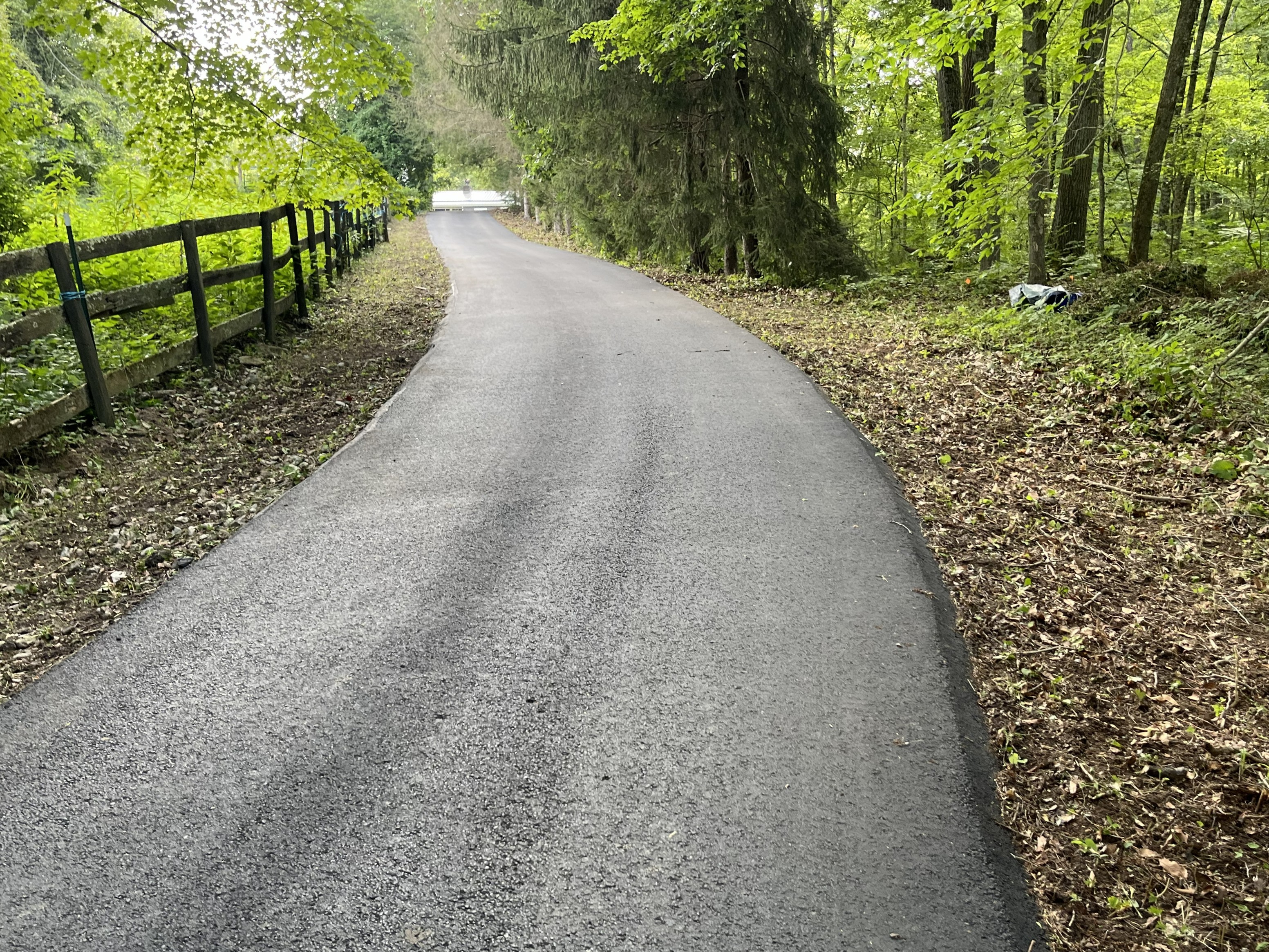 driveway brush cleanup after 1