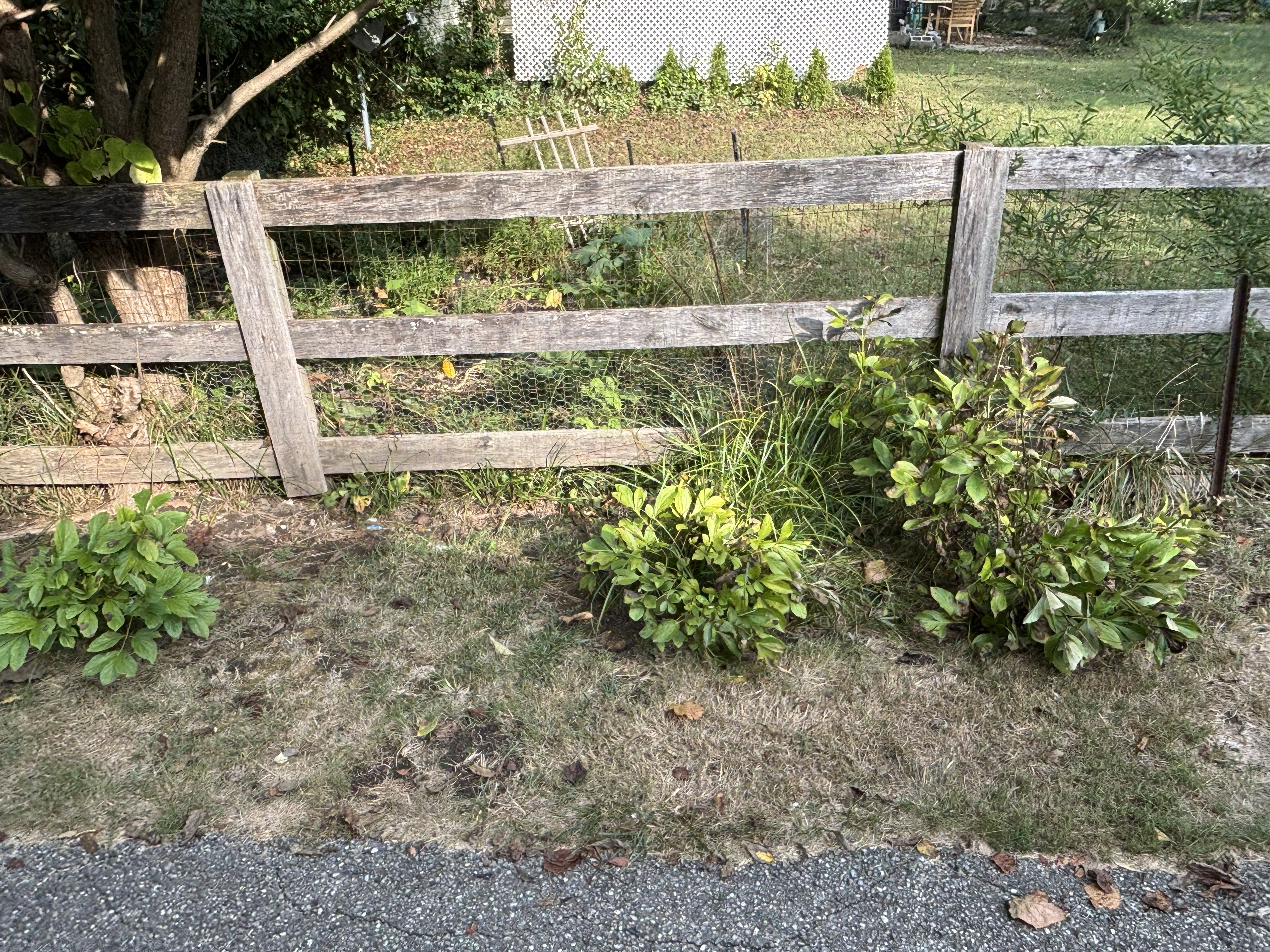 mulch bed install before 2