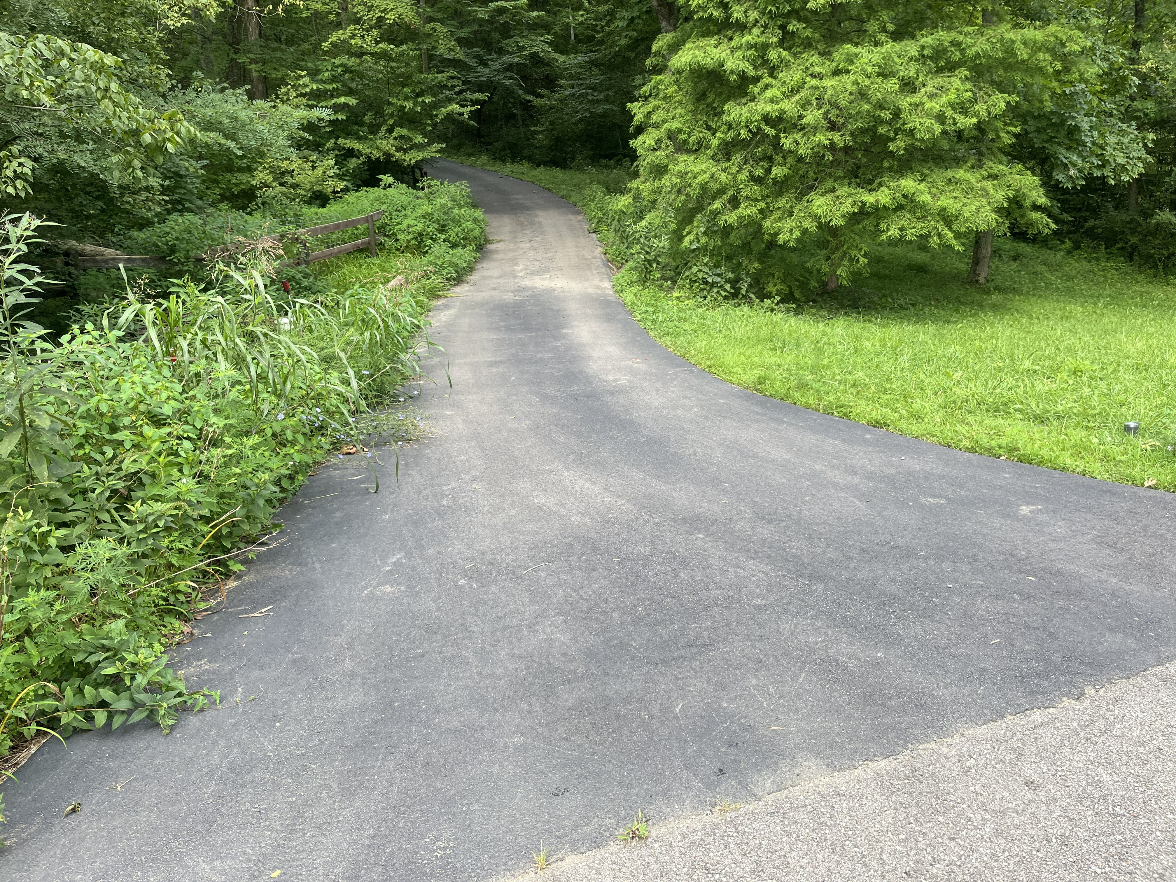 brush removal before 1