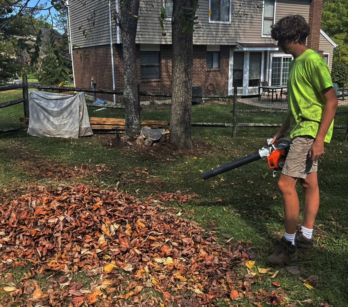 seasonal cleanup