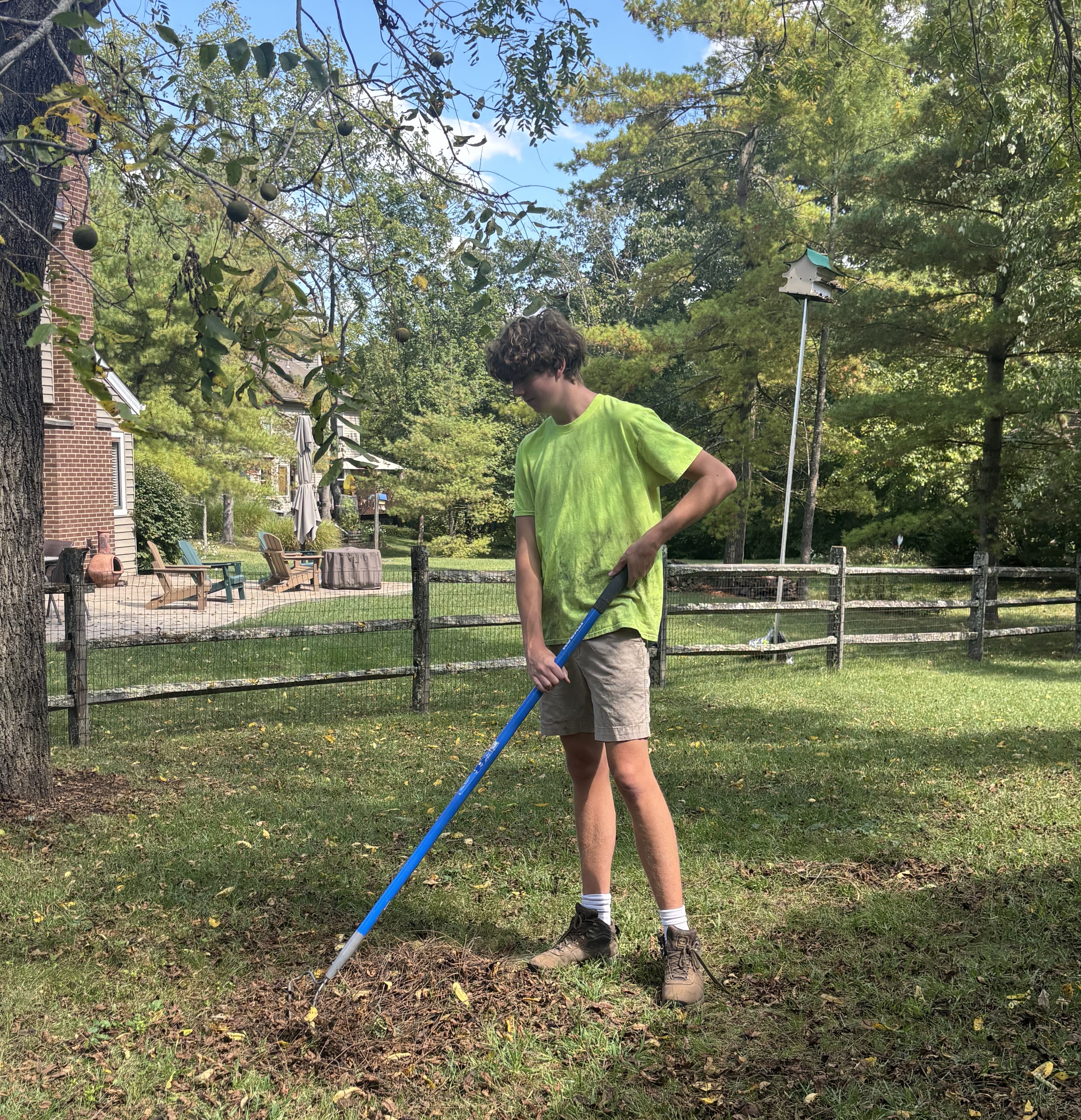 Cooper Doing Yard Cleanup