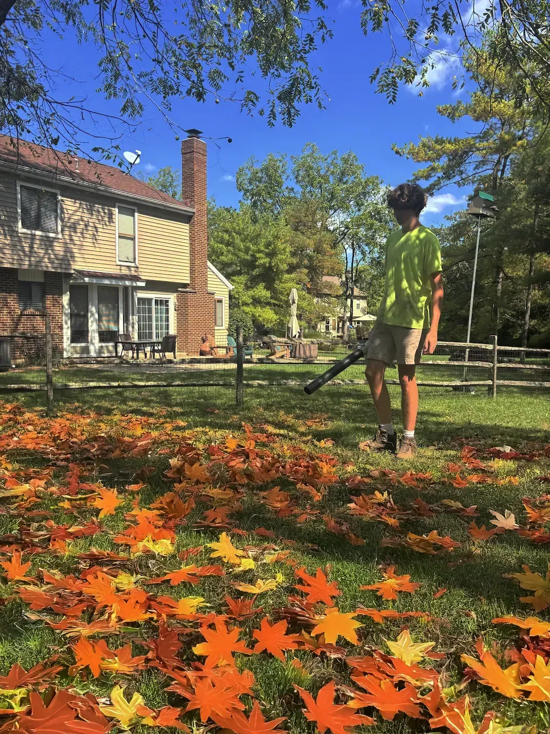 Cooper Doing Yard Cleanup