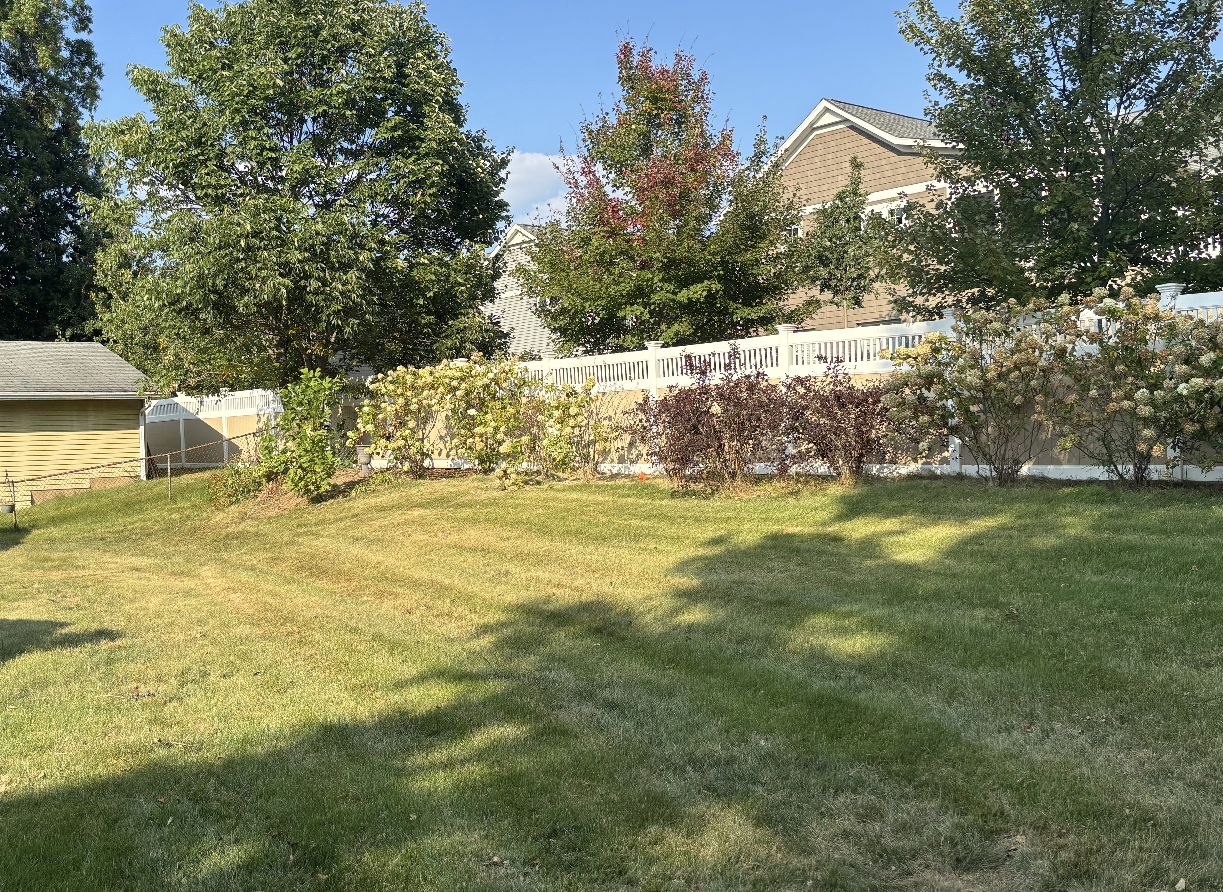 Spring Cleanup Yard
