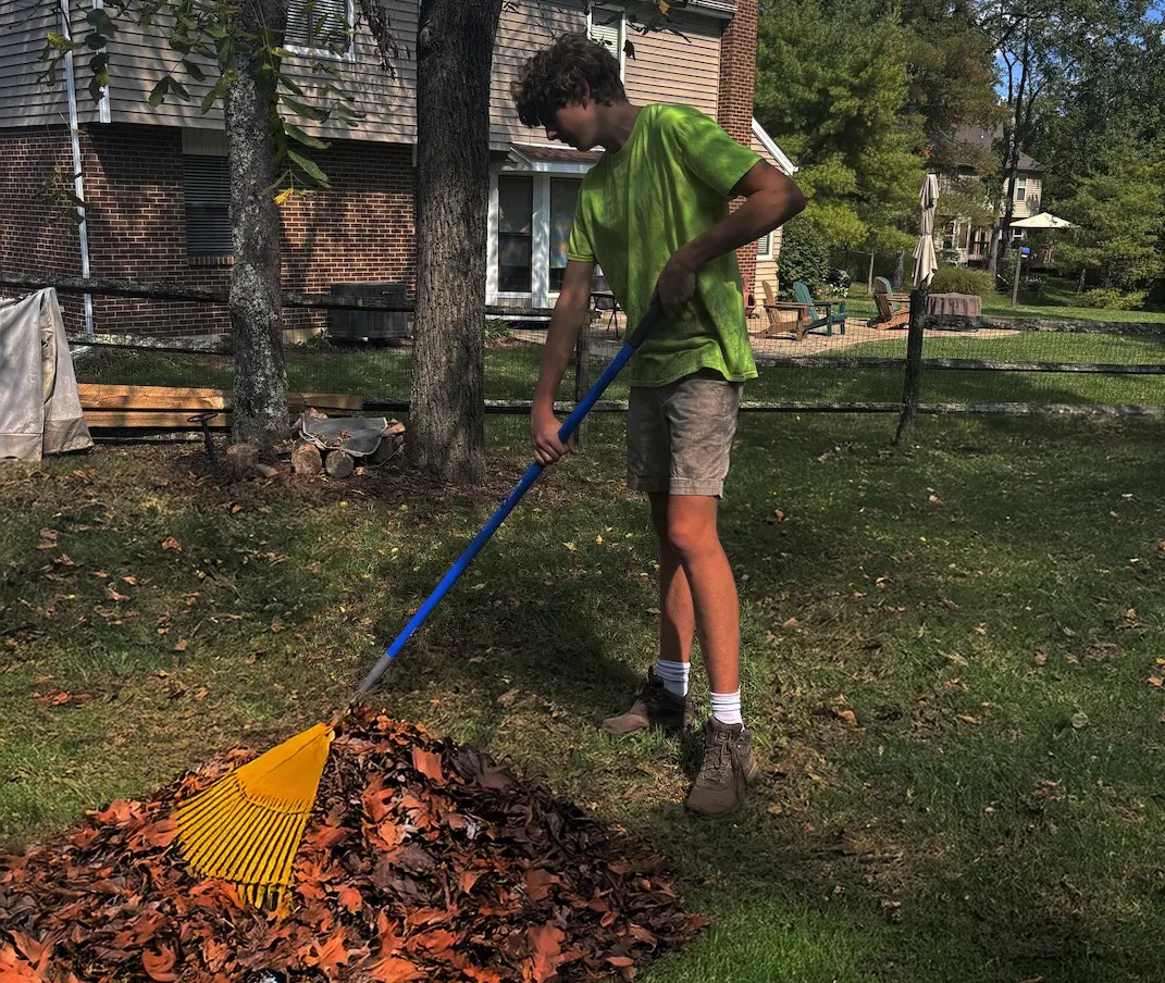 Fall Cleanup Raking