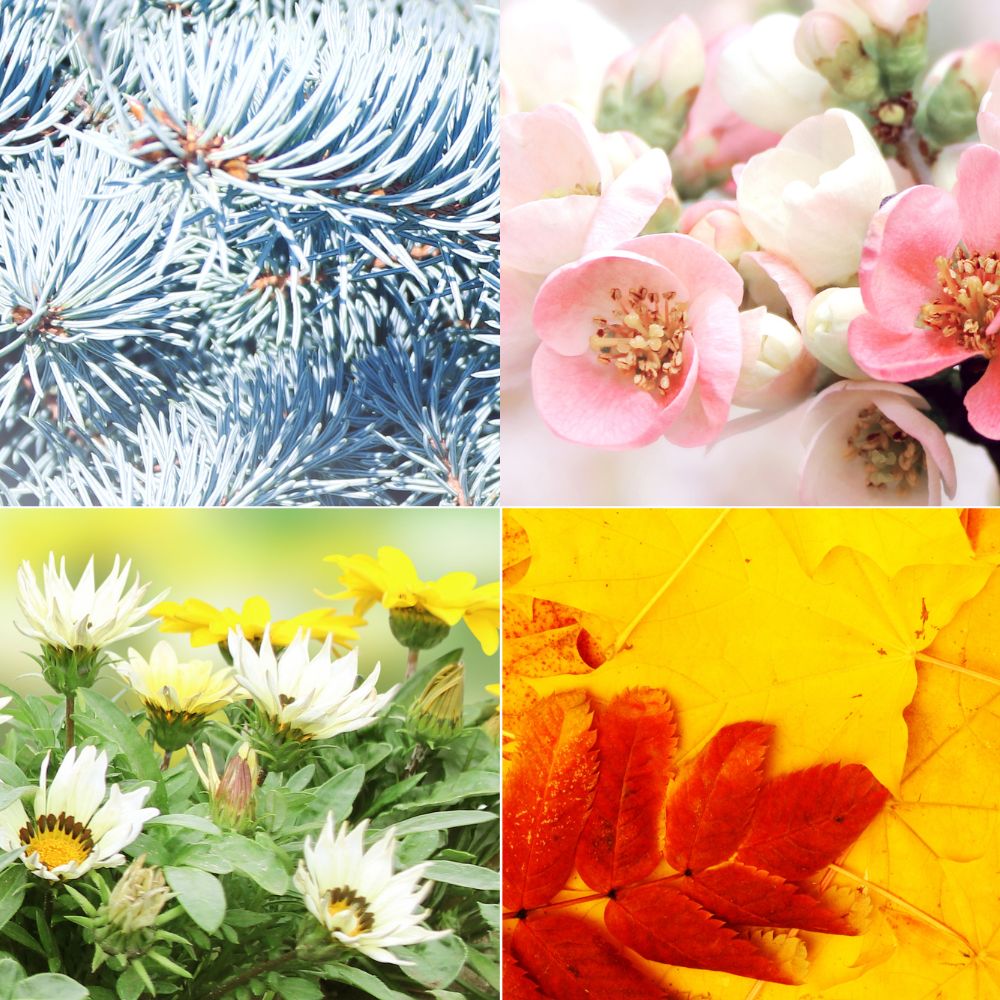 Choose the Length of your chakra journey