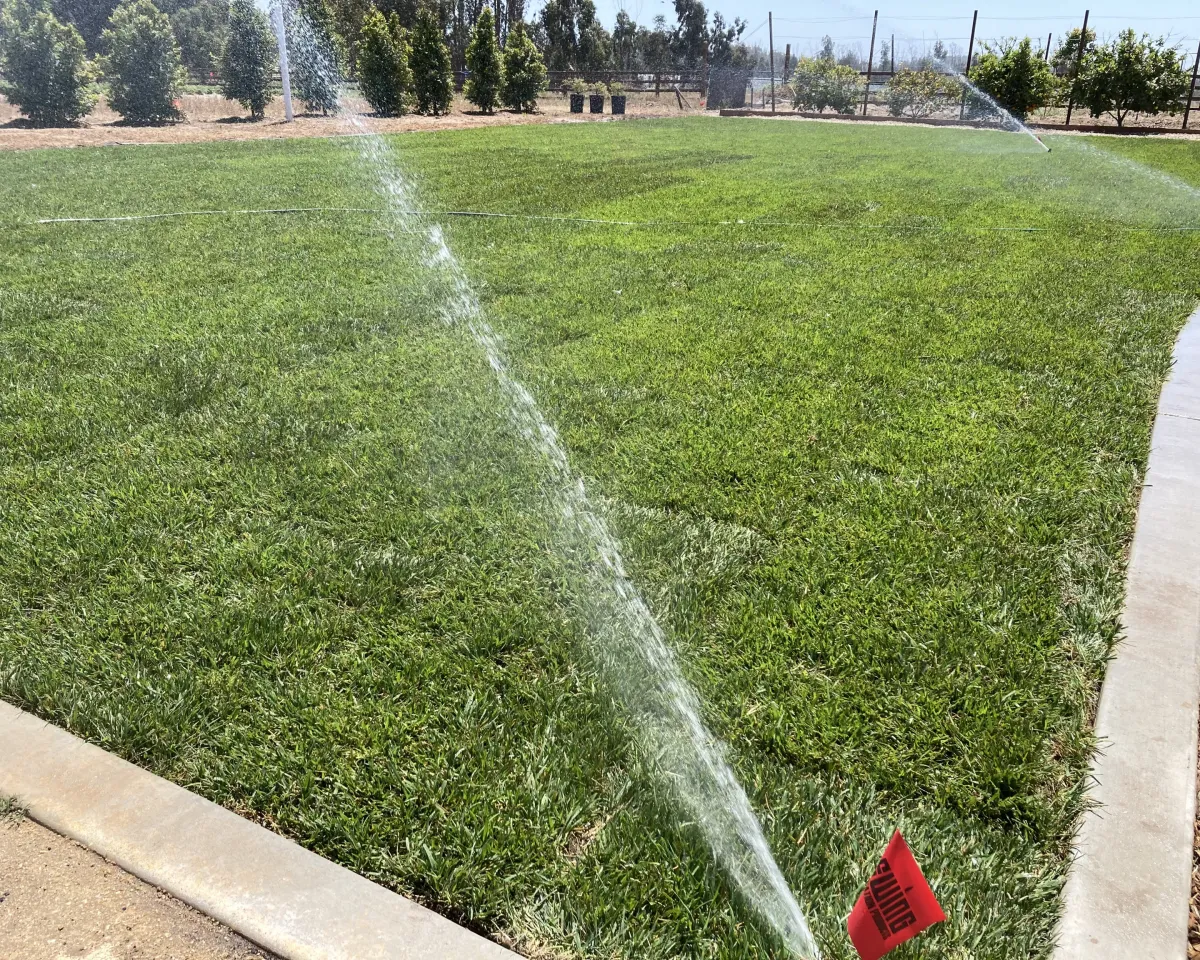 Landscape Contractor in Ventura County