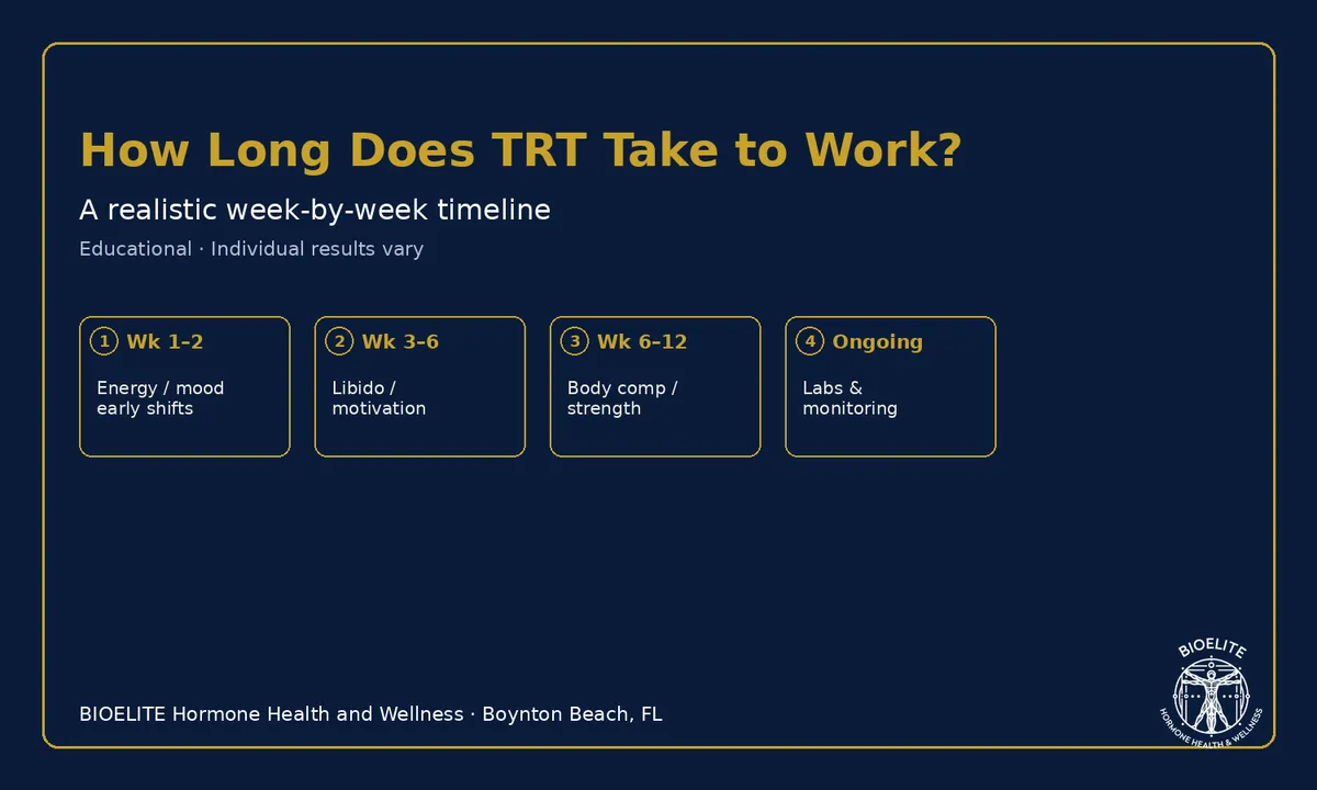 How Long Does TRT Take to Work? A Timeline