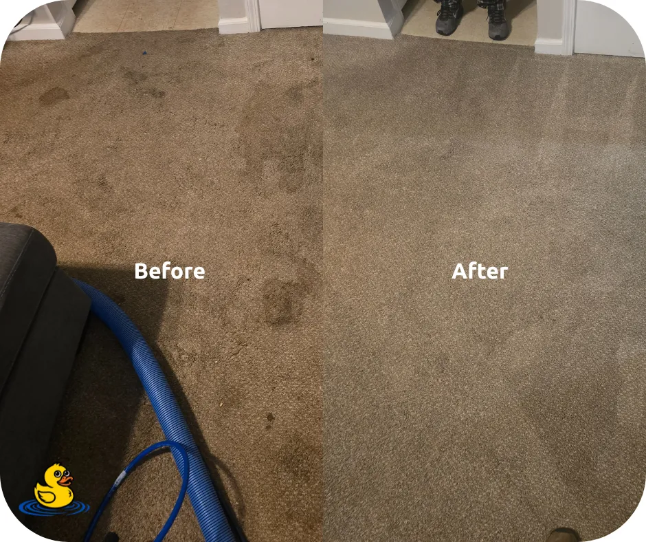 Before and After photo