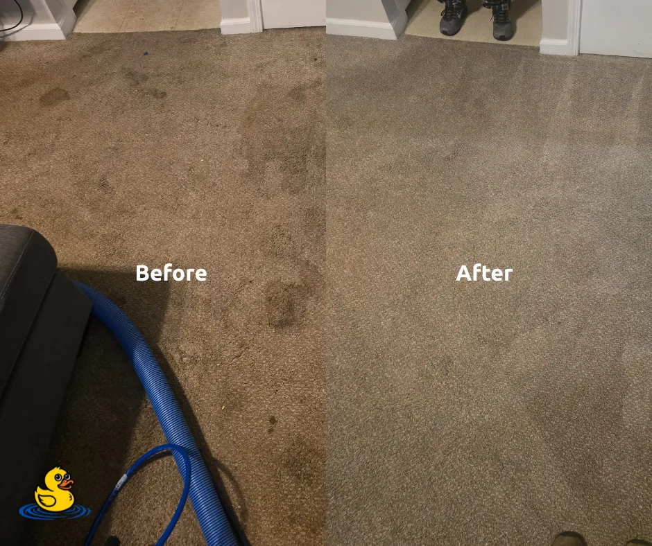 Before and After photo