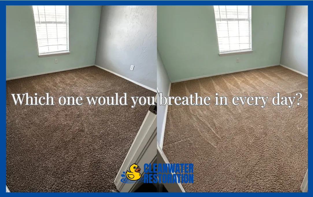 Compelling before and after carpet