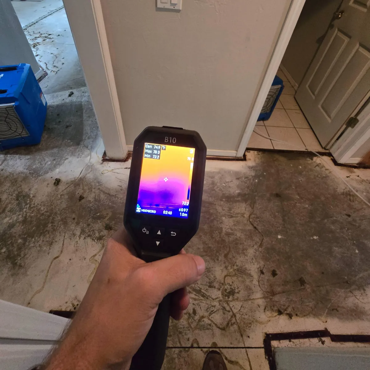 Mold Detector in action