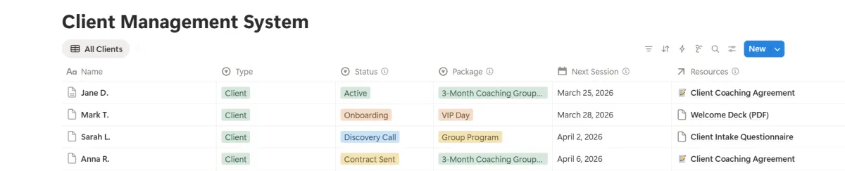 Sample client management system built for online coaches — CG Your Partner  Sample data only — all real client work kept strictly confidential
