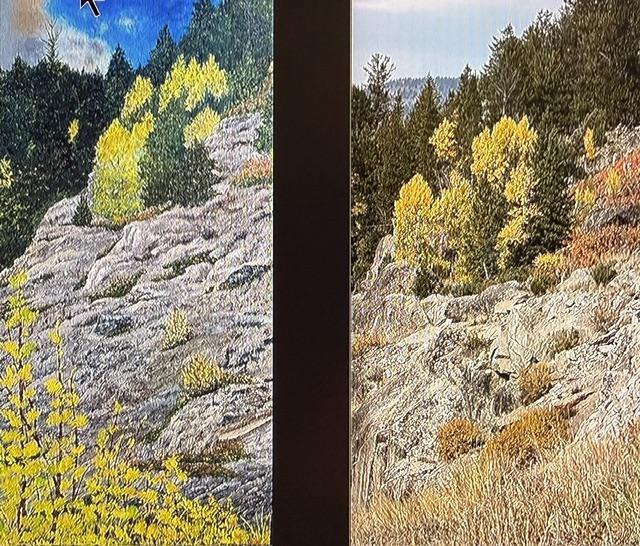When painting from a photograph, add or subtract to make a better composition.