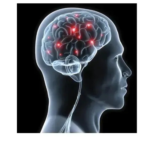 MemoryFuel official websit