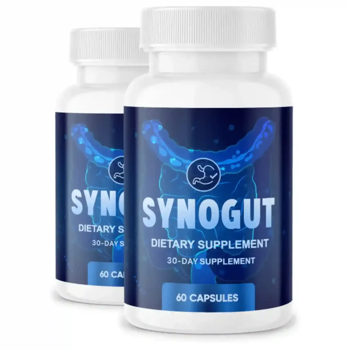 SynoGut