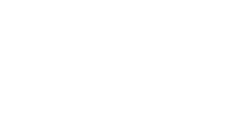 ProtoFlow 