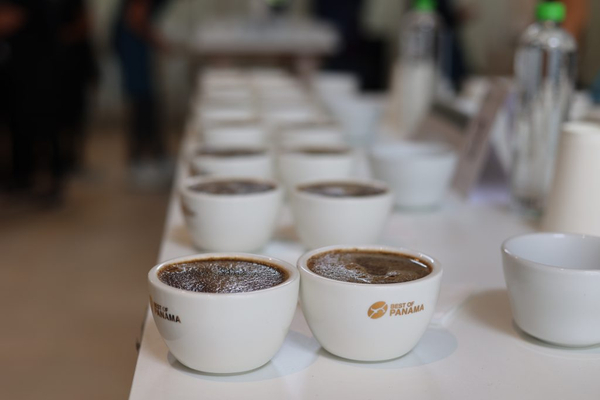 Best of Panama 2026: Panamá vende menos café y captura más valor