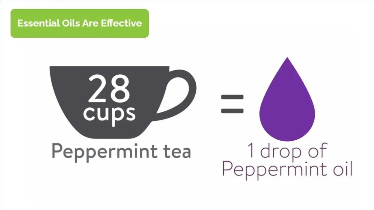 peppermint tea, one drop, essential oil,potent, pure, peppermint essential oil