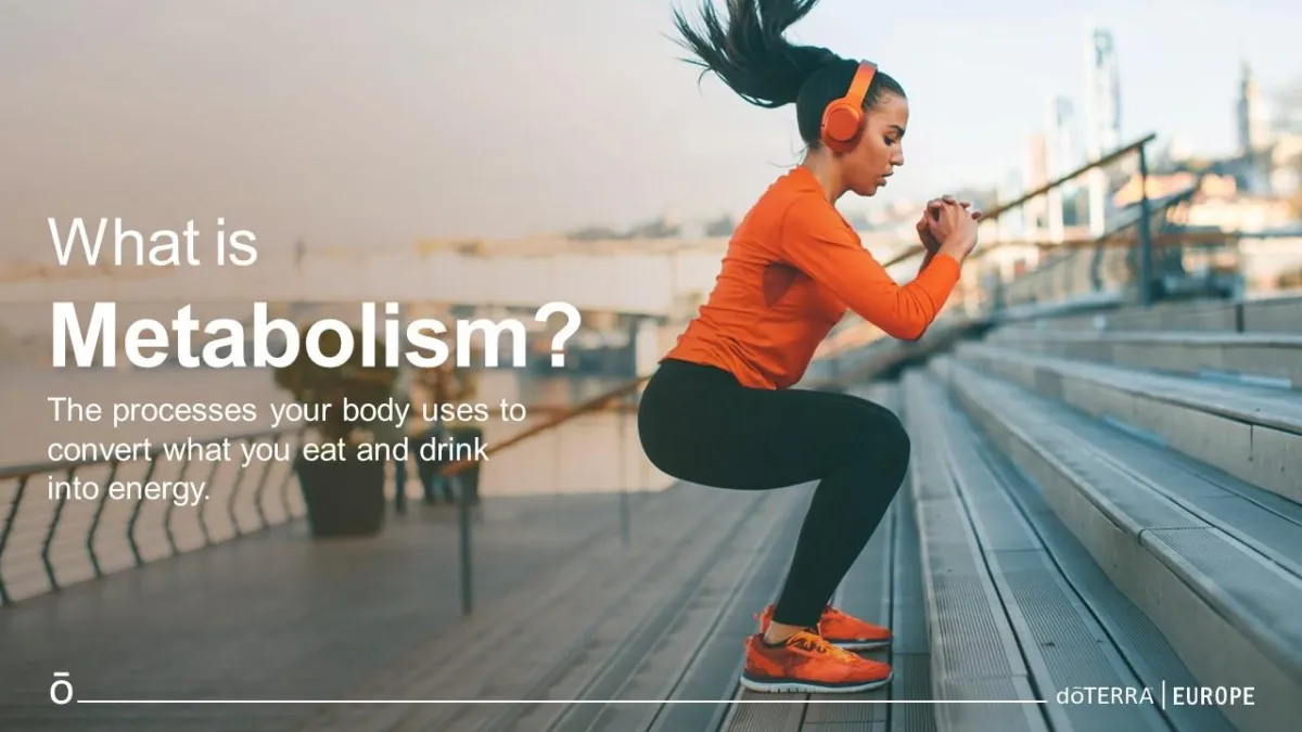 metabolism