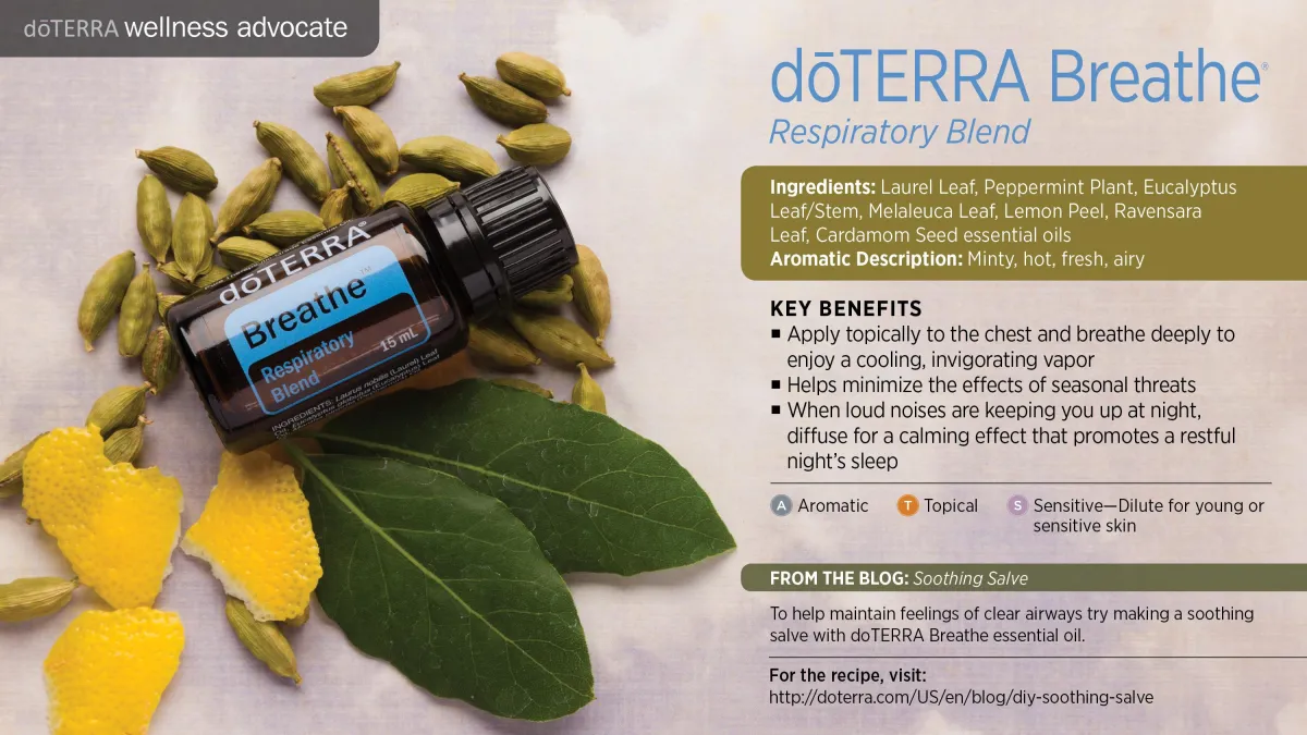  aromatherapy, caredmom oil, peppermint oil, eucalyptus oilNatural Respiratory Support - Laurel Leaf Essential Oil - Peppermint Plant Benefits - Eucalyptus for Respiratory Health - Cooling and Invigorating Vapor - Calming Aromatic Effects - Soothing Sleep Support, eucalyptus essential oil, lemon oil, lemon essential oil, thyme oil, thyme essntial oil, melissa oil, congestion, head cold, sore troat, brt,nchitis, asthma, cough, sinusitus, bad breath, motion sickness, diffuse inhale, armatic,