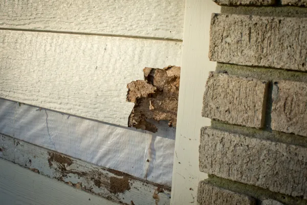 Interior & Exterior Painting in 