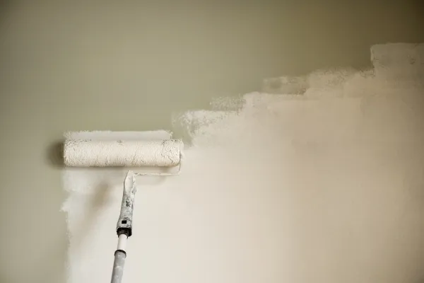 Interior & Exterior Painting in 