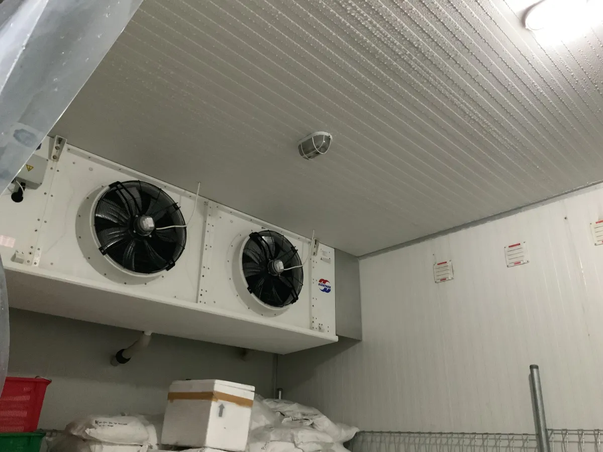 sandwich panel freezer room