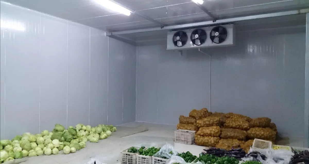 sandwich panel chiller room