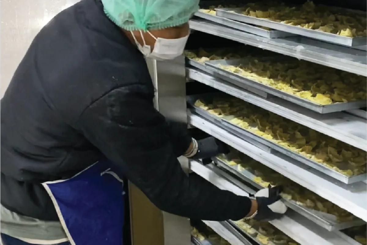Mesin Pembeku Durian untuk Ekspor: Teknologi Quick Freezing agar Kualitas Tetap Premium