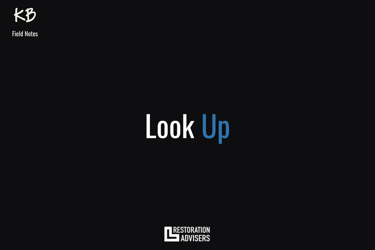 Look Up