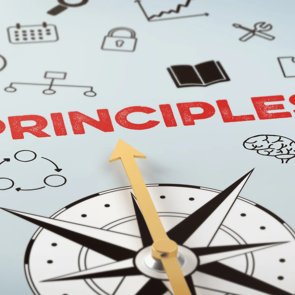 A gold compass needle pointing toward the word "PRINCIPLES" in red text, surrounded by various business and strategy icons like a brain, lock, and flowchart.