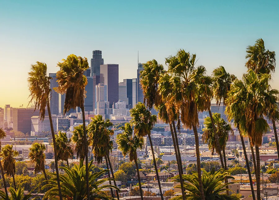 Los Angeles Skyline