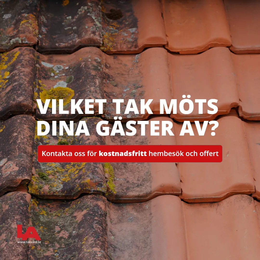 Vilket tak möts dina gäster av? LA Takvård