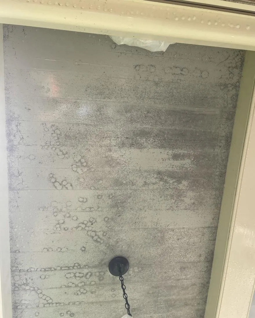 Heavy mildew and salt build up on a painted exterior surface before soft washing, Brunswick GA
