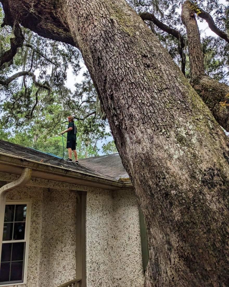 Low pressure roof cleaning on a home in Glynn County, Georgia