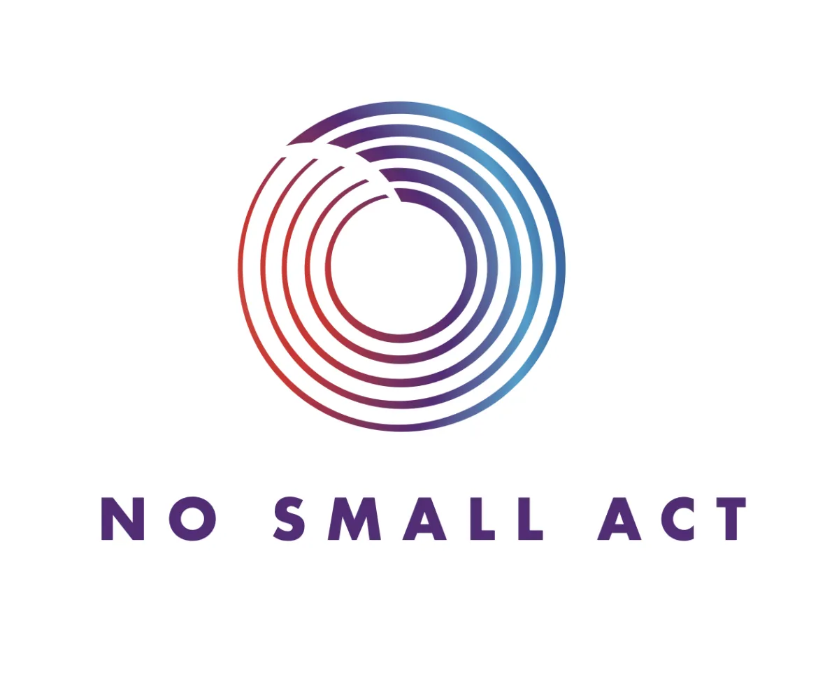 No Small Act Logo ripples to waves with blue, red, and purple colors