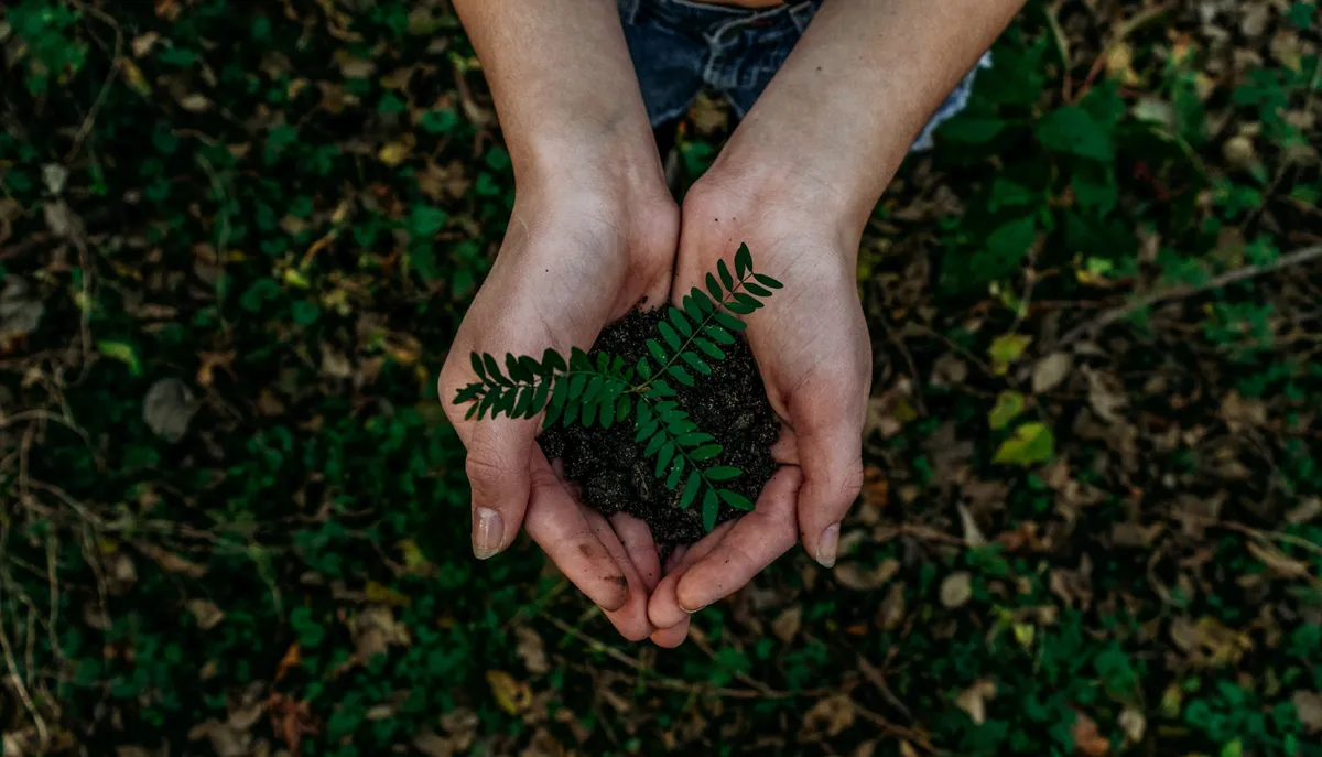 Building Your Digital Brand With a Conscience