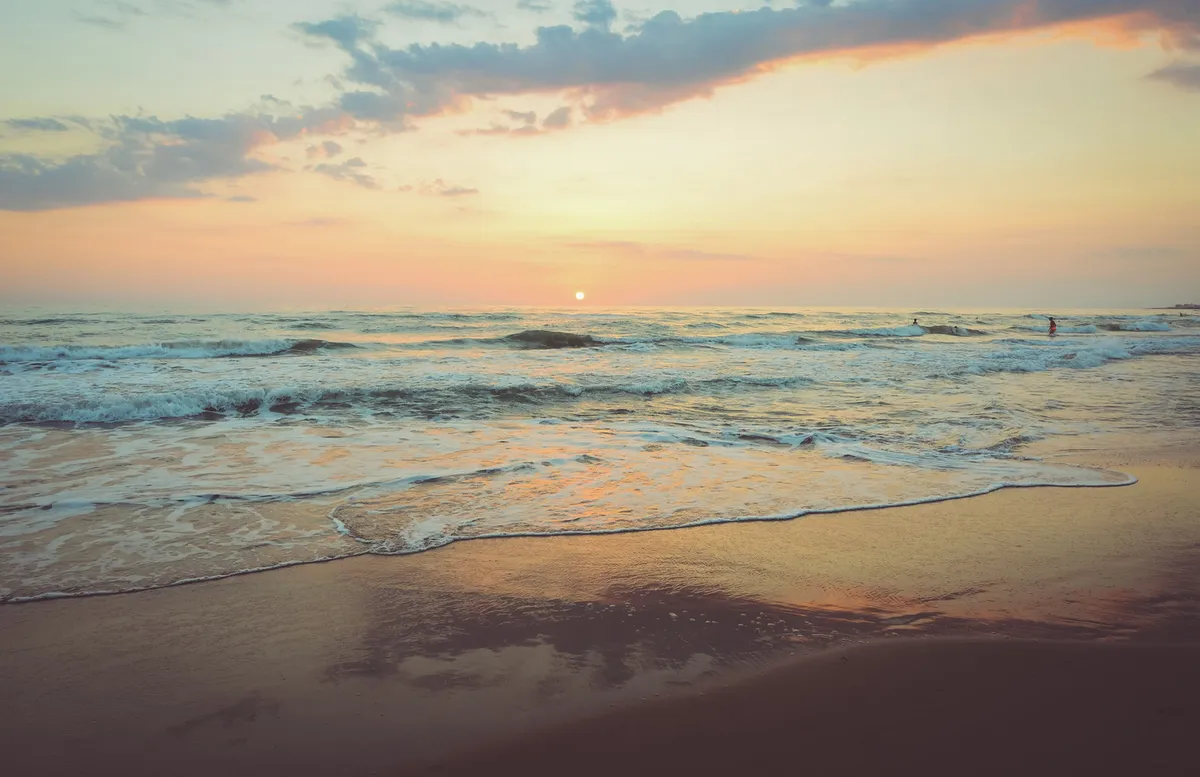 Social Media Surfing: Why the Northern Beaches is the Perfect Wave for Social Media Marketing