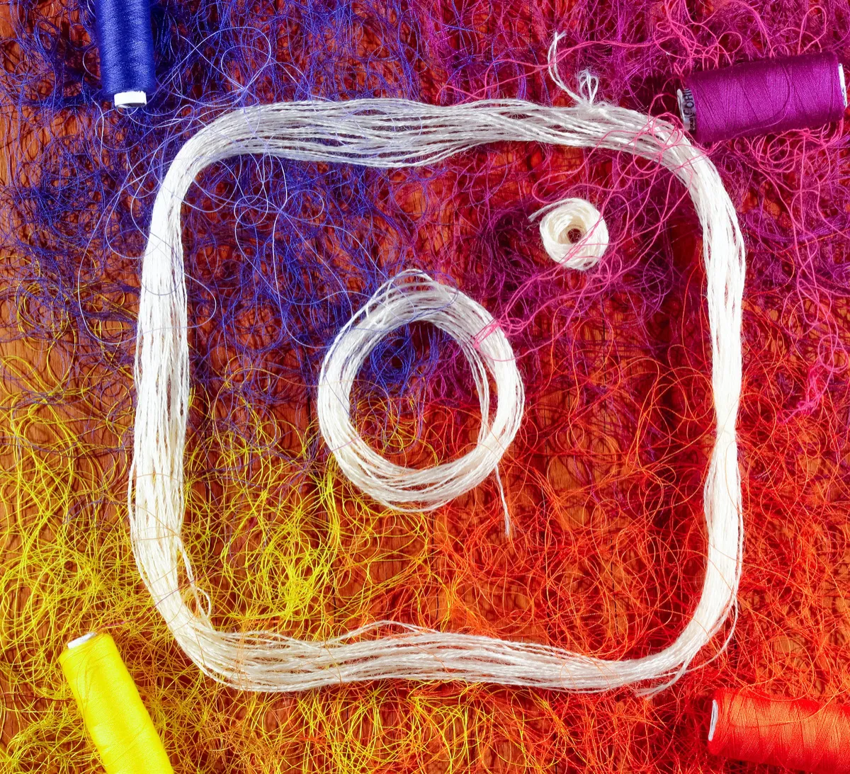 Beyond the Ordinary: What Sets Instagram and Facebook Apart in the Social Media Universe