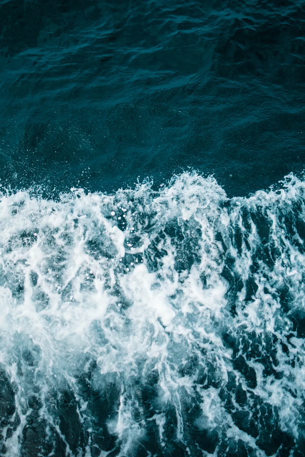 Navigating the Social Media Seas: A Guide to Staying Ahead of Trends