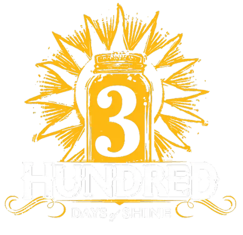 3Hundred Days of Shine