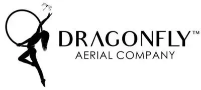Dragonfly Aerial Company