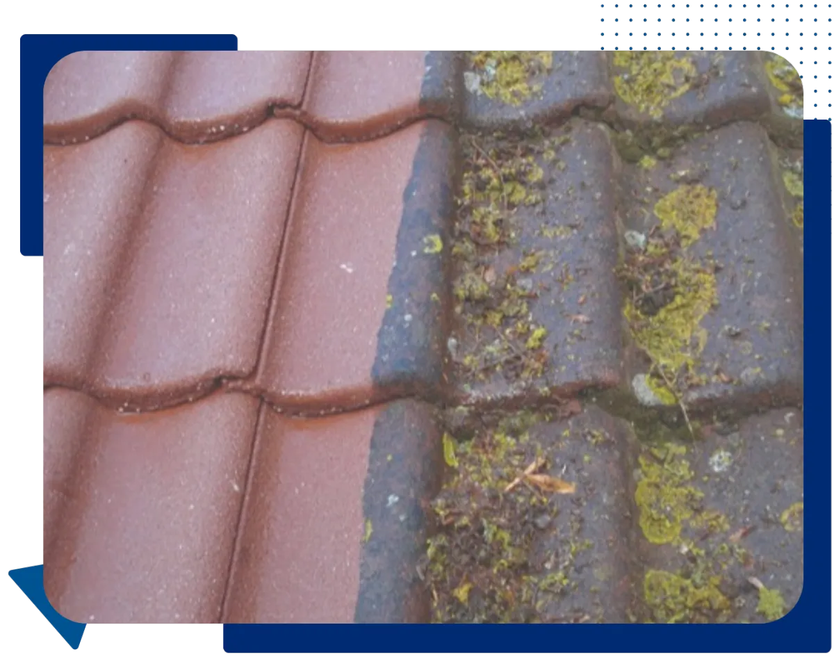 Colchester Flat Roofs