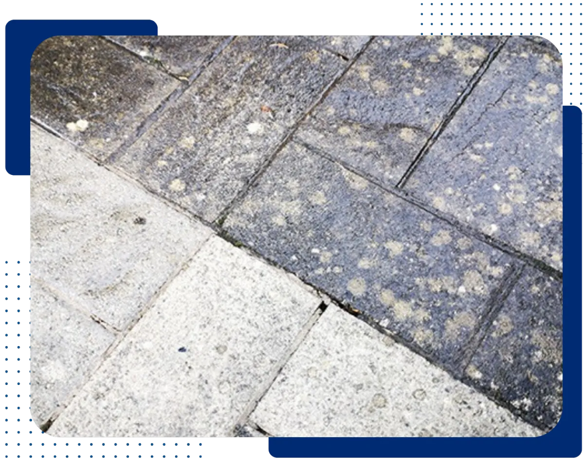 Brentwood Roof Replacements