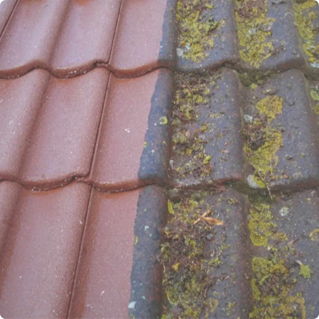 Chimney Stacks Colchester