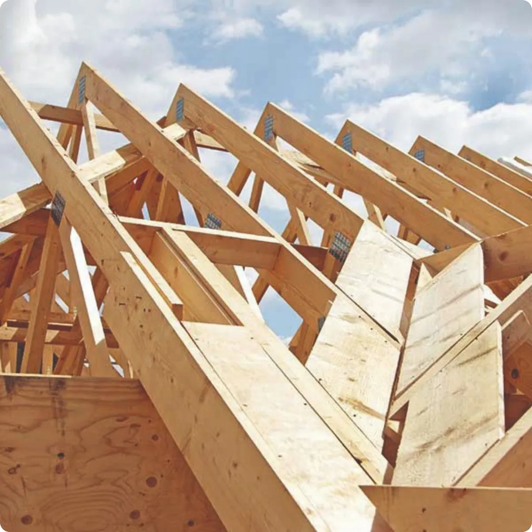 {{ custom_values.service_1 }} in {{custom_values.biz_area_1})